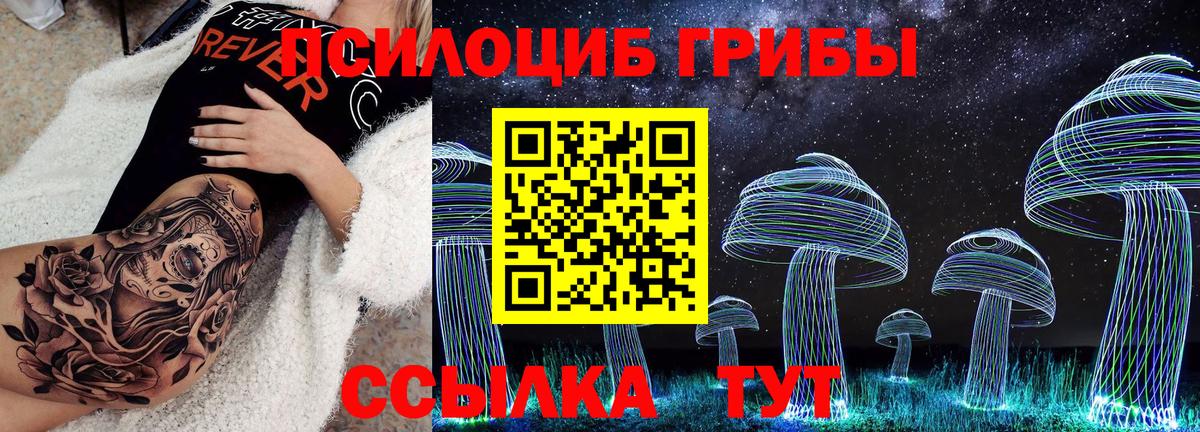 Псилоцибиновые грибы прущие грибы Великий Новгород