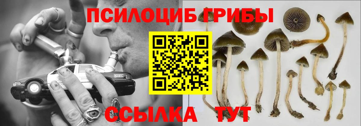 Псилоцибиновые грибы ЛСД  Псилоцибиновые грибы Psilocybine cubensis  Вход с VPN  Великий Новгород 